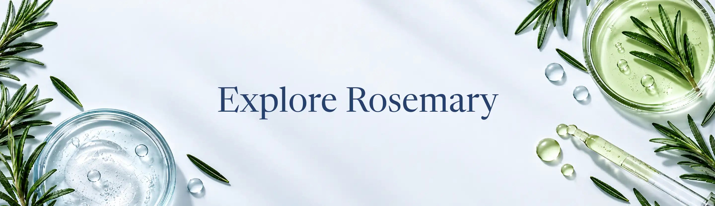 Rosemary Collection