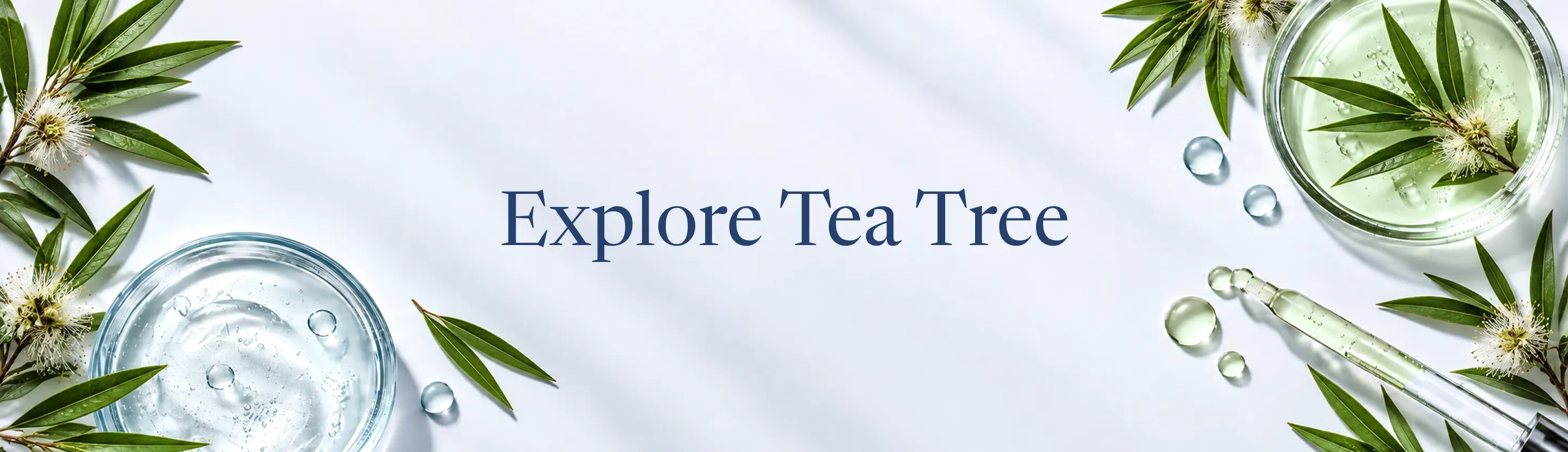 Tea-Tree Collection