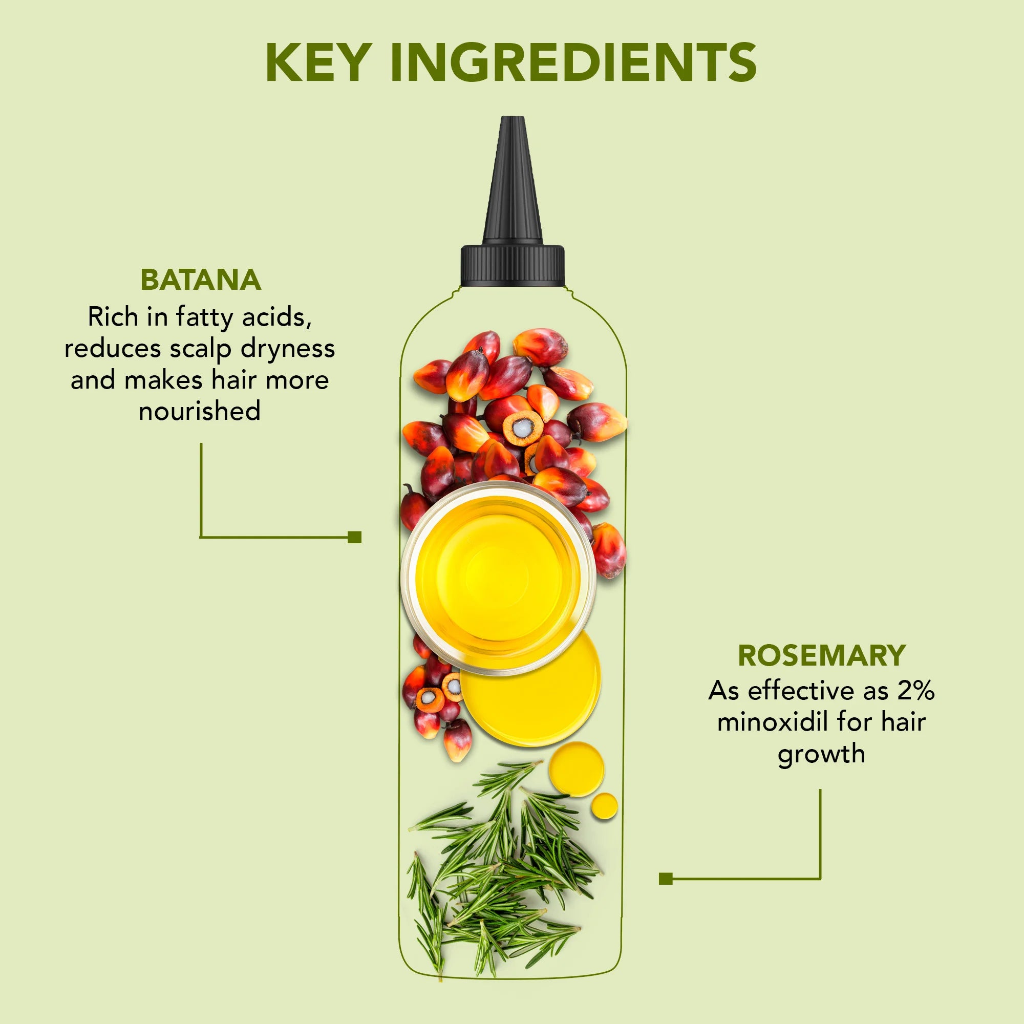 Rosemary & Batana Hair Oil with Biotin | 6.7 fl oz