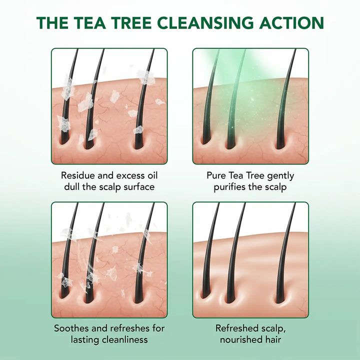 Tea Tree Oil Special Shampoo and Conditioner Set – Botanic Hearth