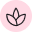 Rooted in Botanical Tradition
