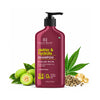 Defrizz & Hydrate Shampoo with Hemp Seed Extract & Ceramide | 16 fl oz