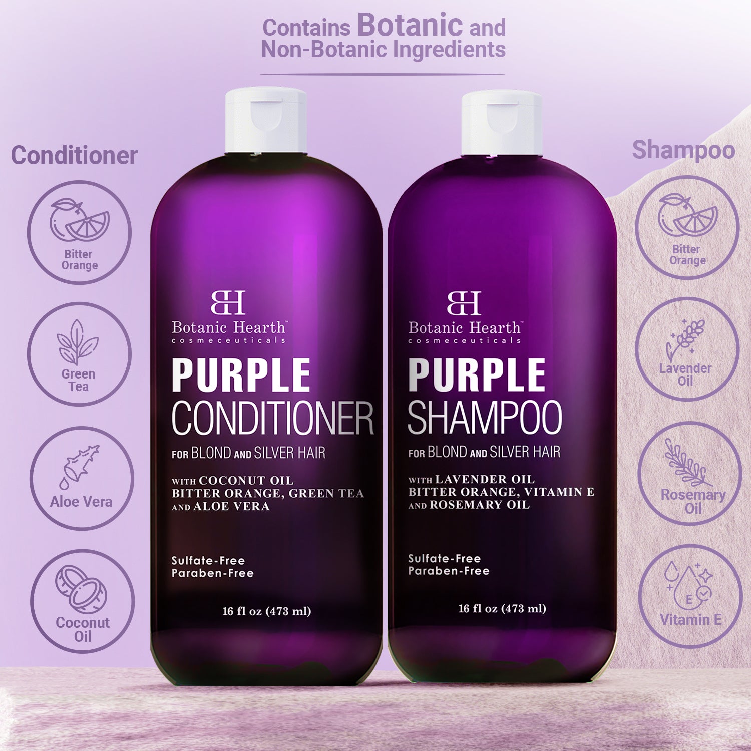 Purple Shampoo and Conditioner Set Protect Hair Color Botanic Hearth
