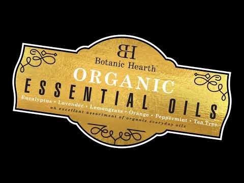 Essential Oils Set of 6